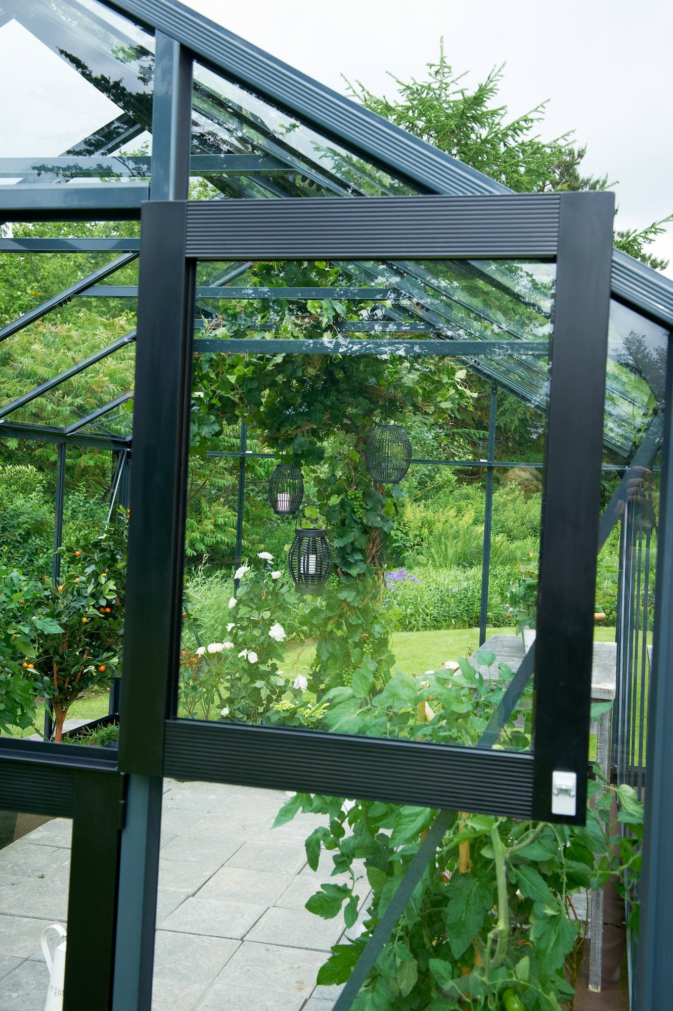 Juliana Gewächshaus Premium - Anthrazit Mit 3 Mm ESG, 8,8 M²