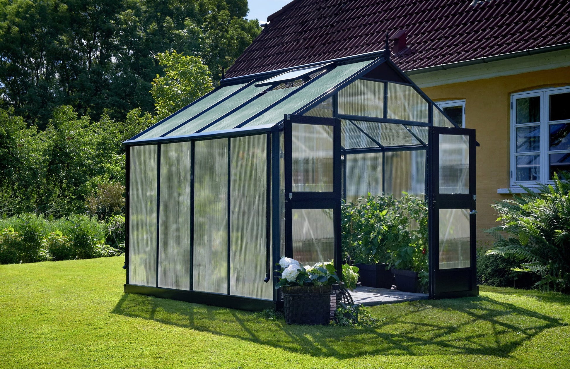Juliana Gewächshaus Premium - Anthrazit Mit Stegdoppelplatte, 8,8 M²