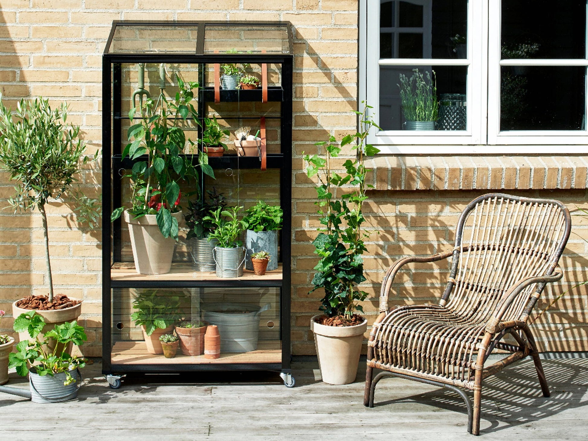 Juliana Gewächshaus Urban - City Greenhouse