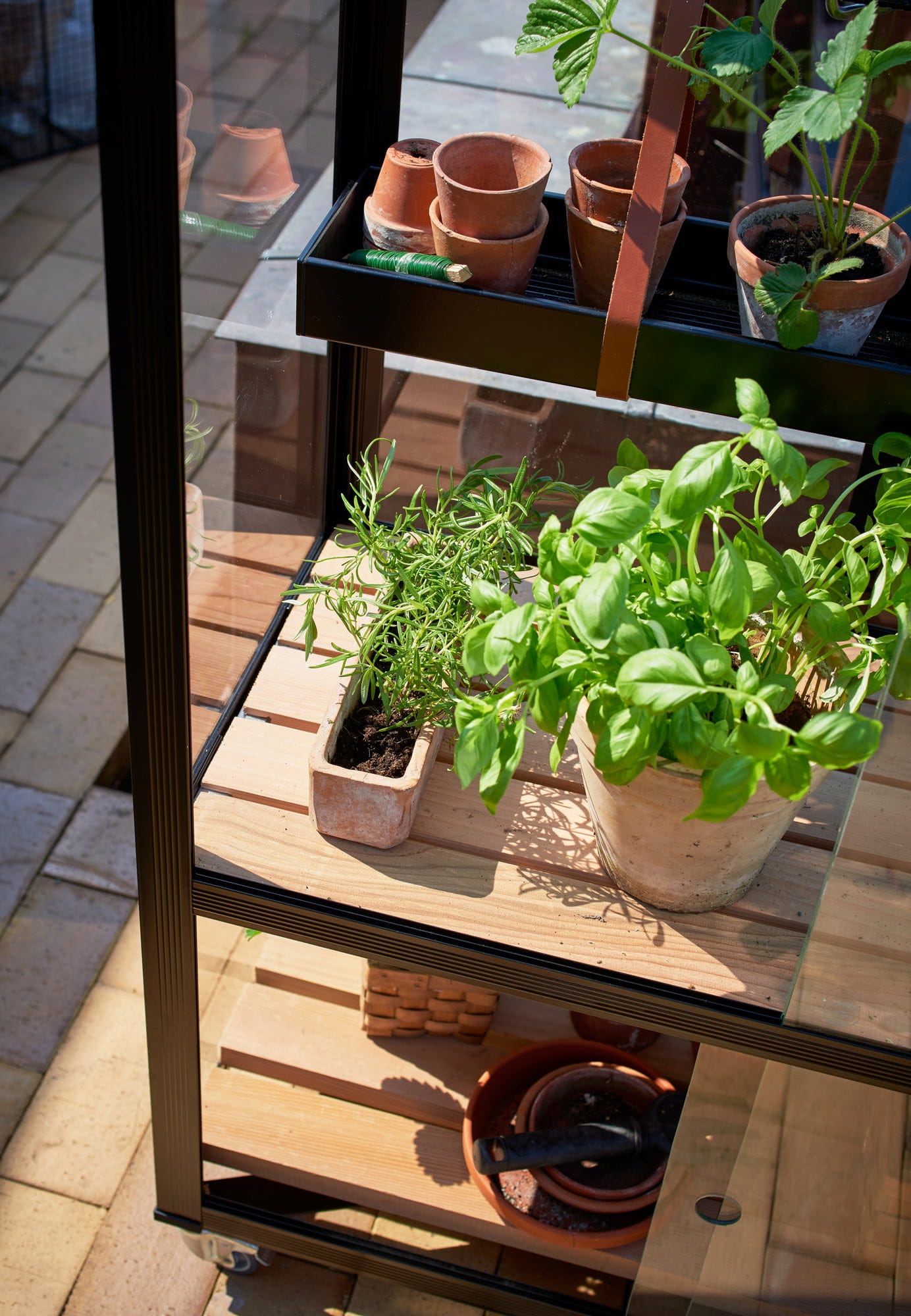 Juliana Gewächshaus Urban - City Greenhouse