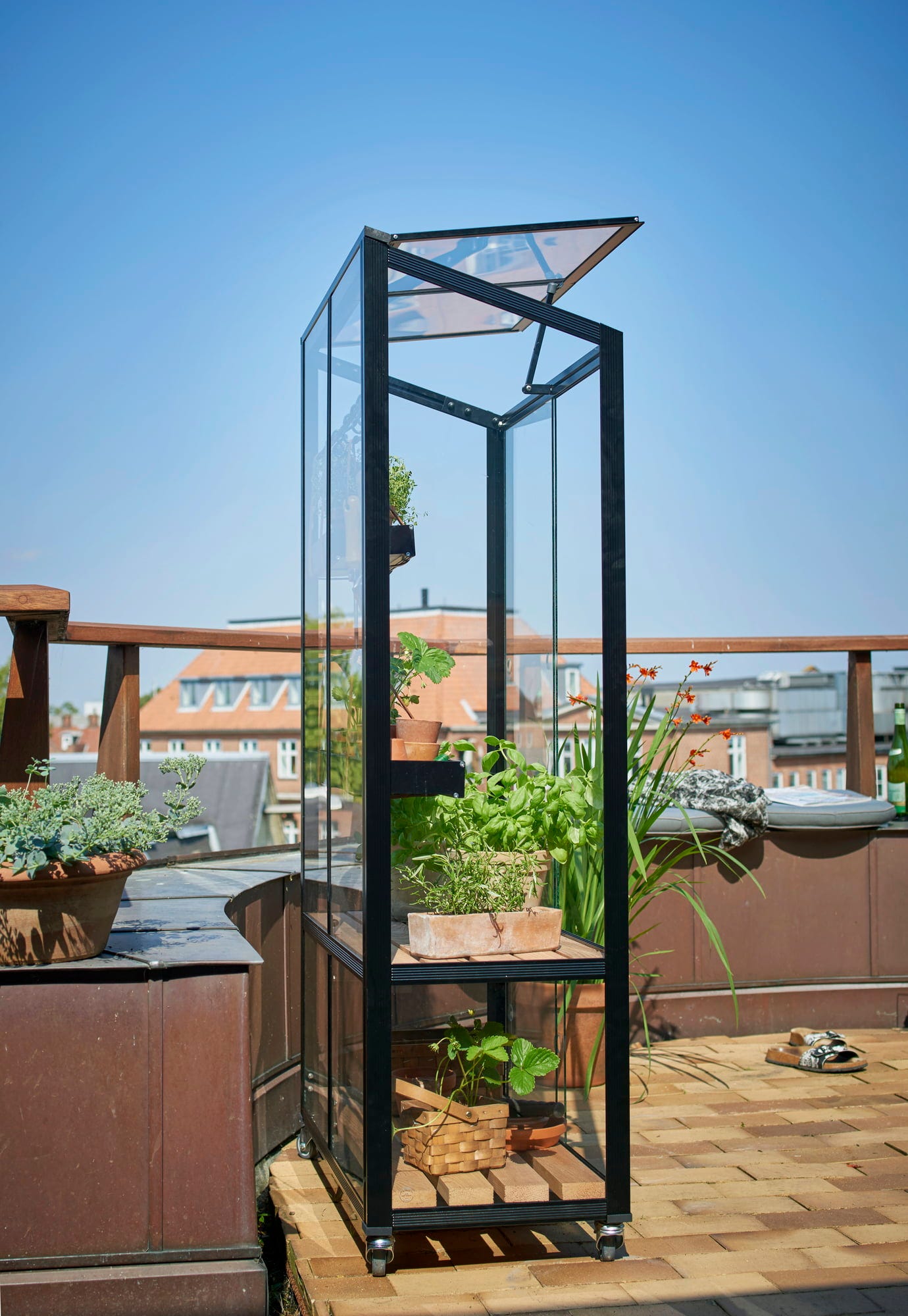Juliana Gewächshaus Urban - City Greenhouse