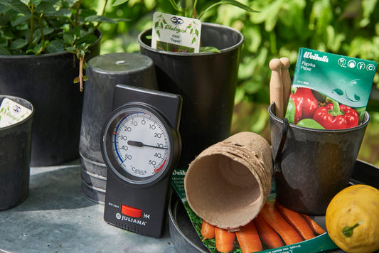 Juliana Min-Max Thermometer - Schwarz