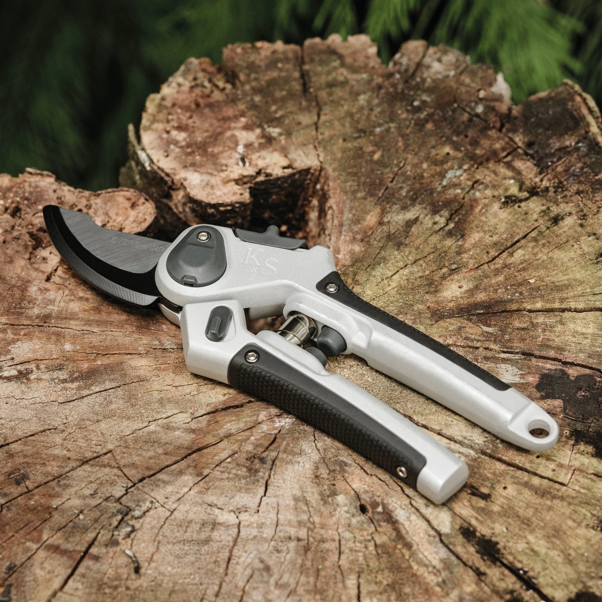  Gartenschere Eversharp Bypass Lite