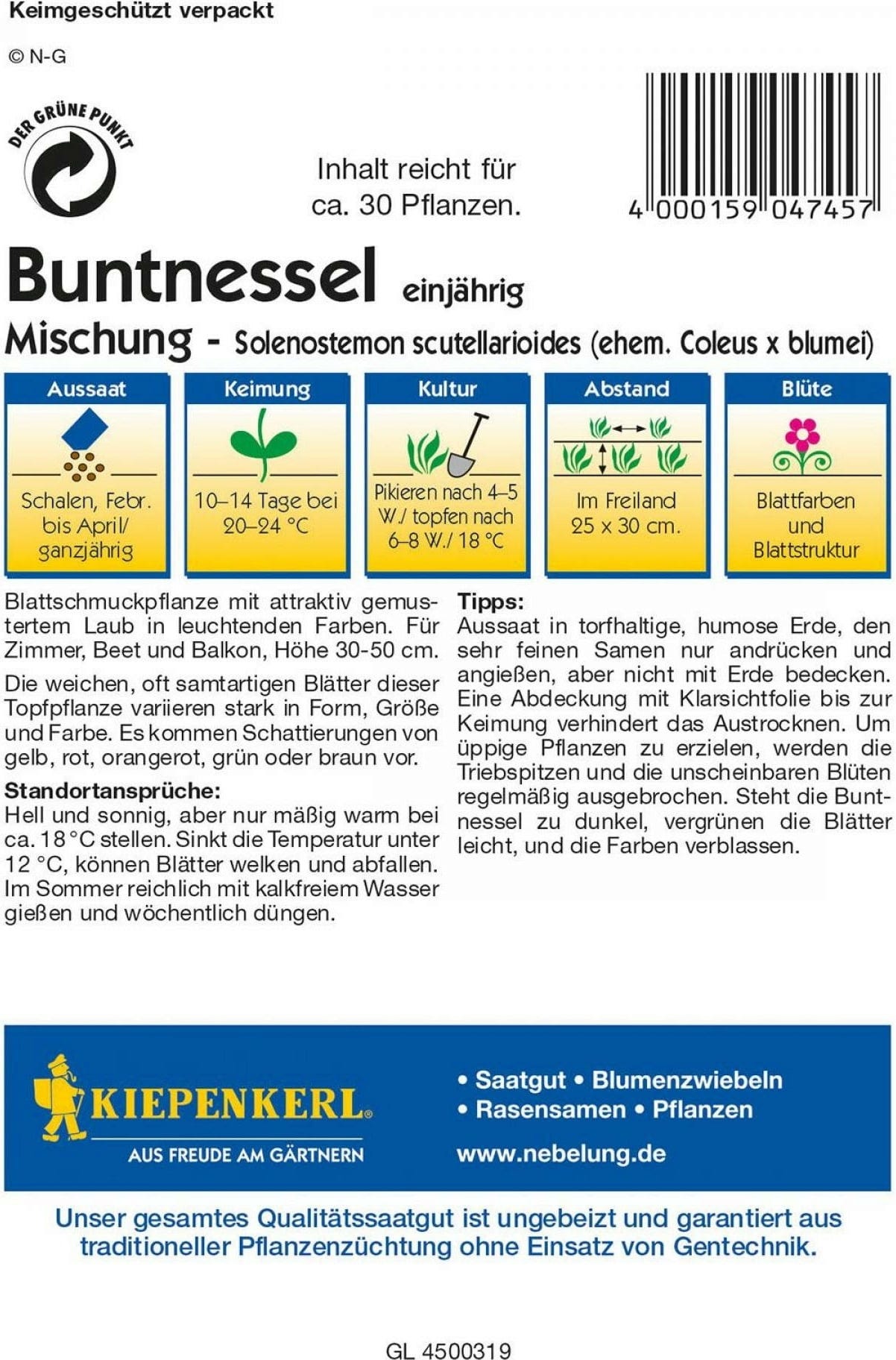  Buntnessel