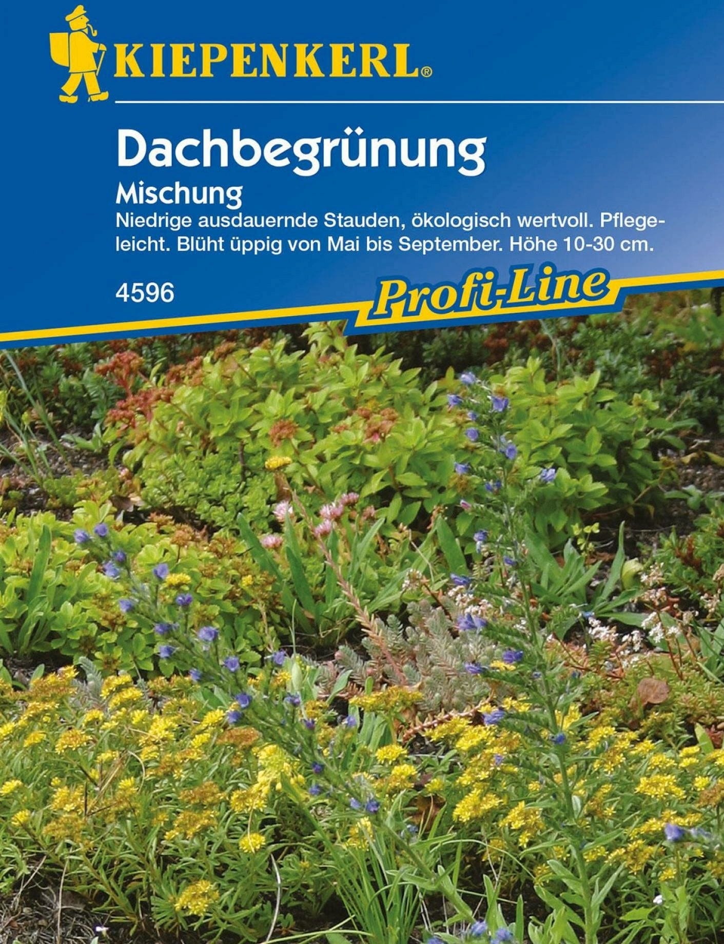  Dachbegrünung