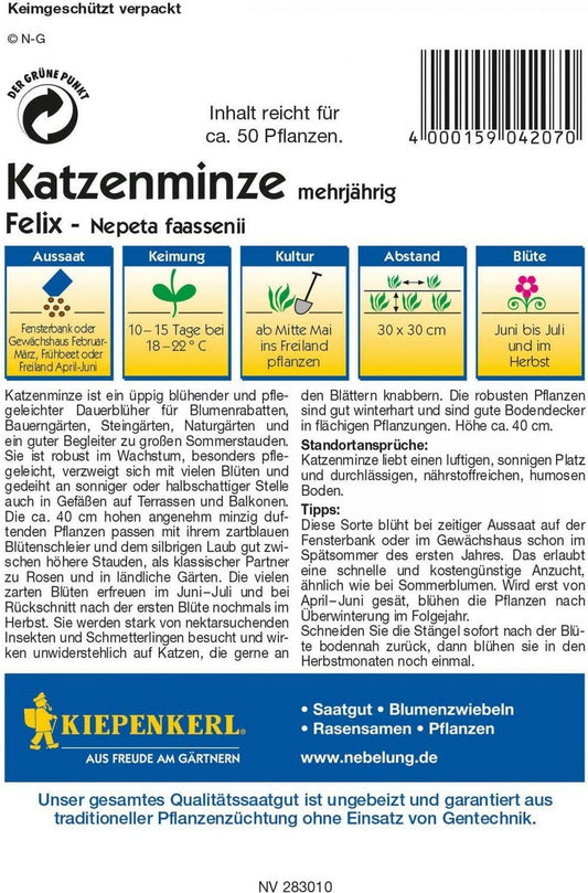  Katzenminze "Felix"