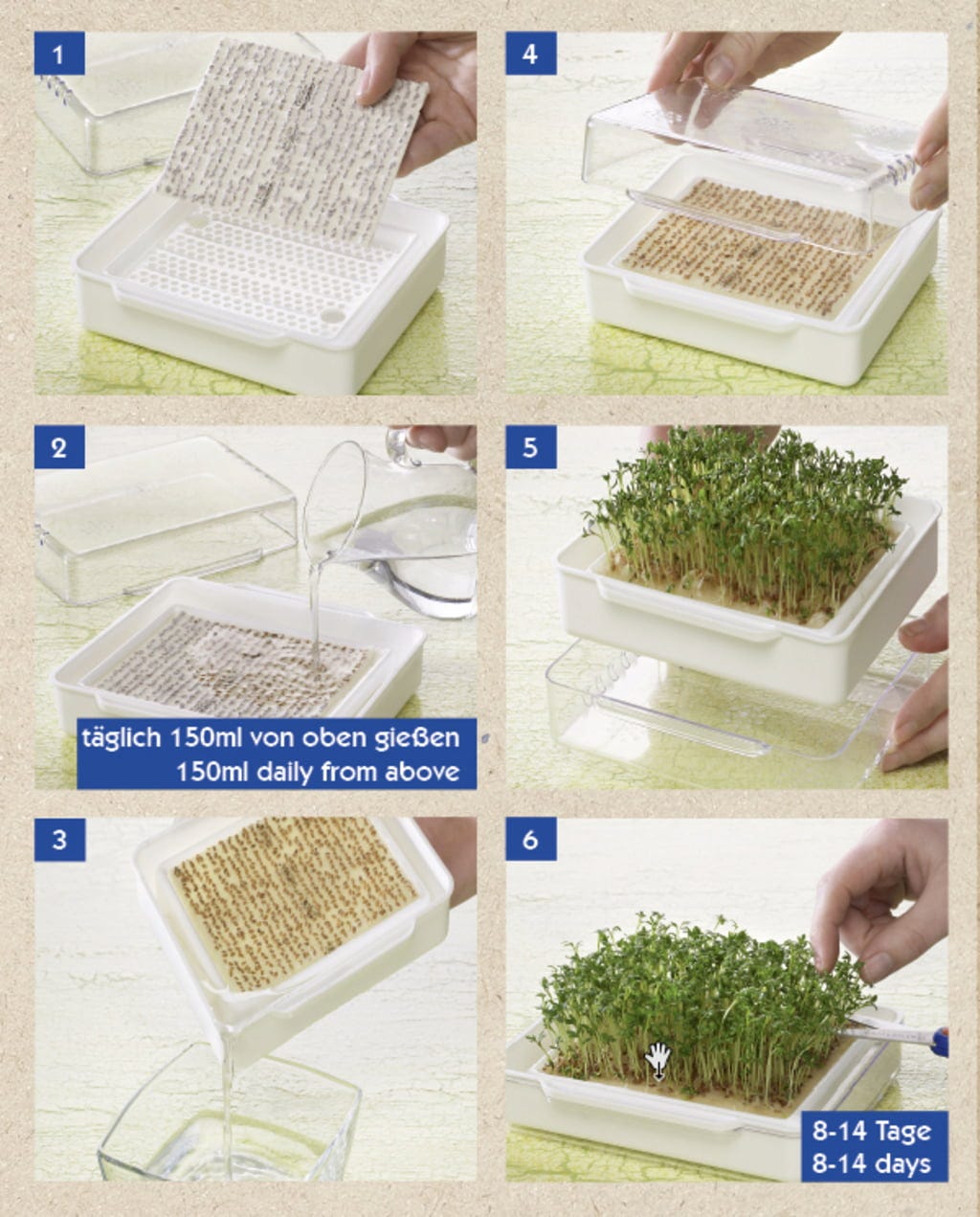 Keimsprossen MicroGreen Garden Starter Set Inkl. 4 BIO Samenpads