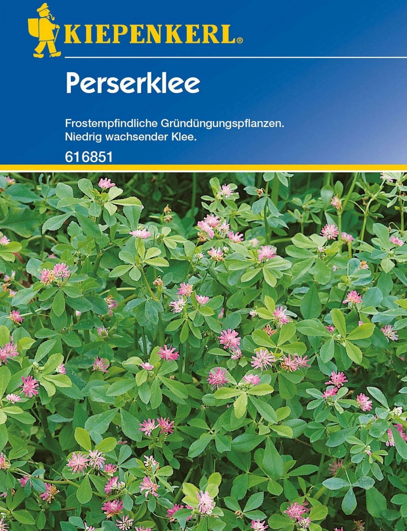  Perserklee "Gorby"