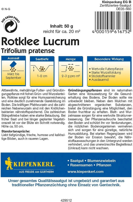  Rotklee