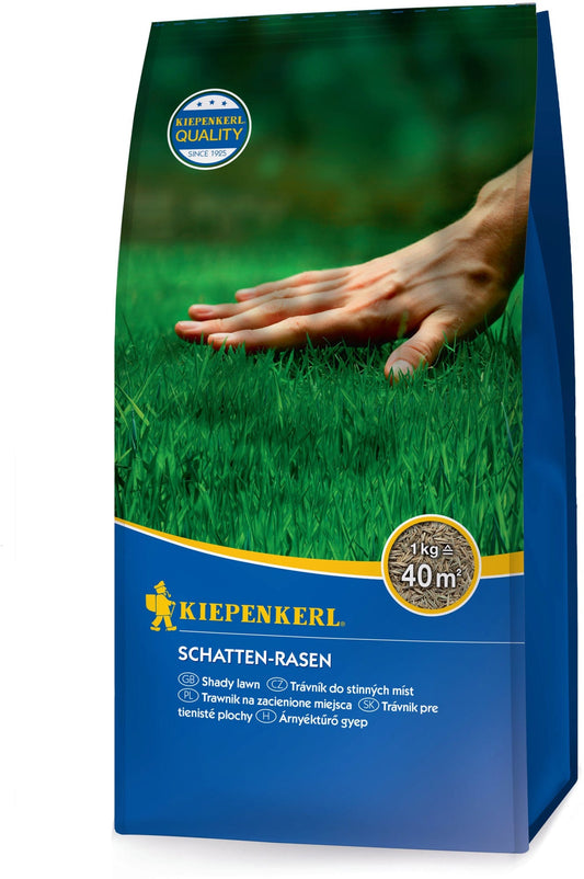  Schatten-Rasen, 1 Kg
