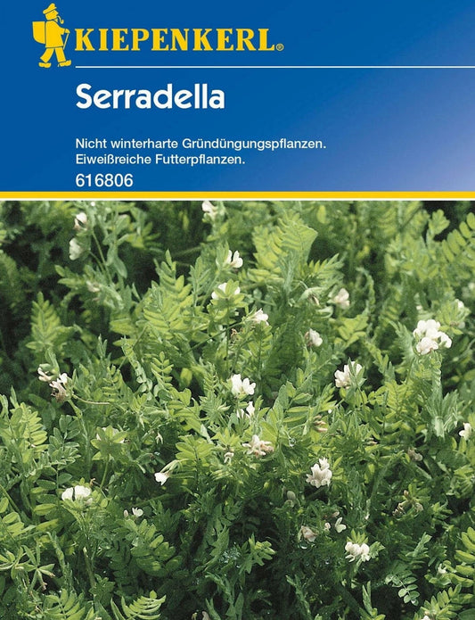  Serradella