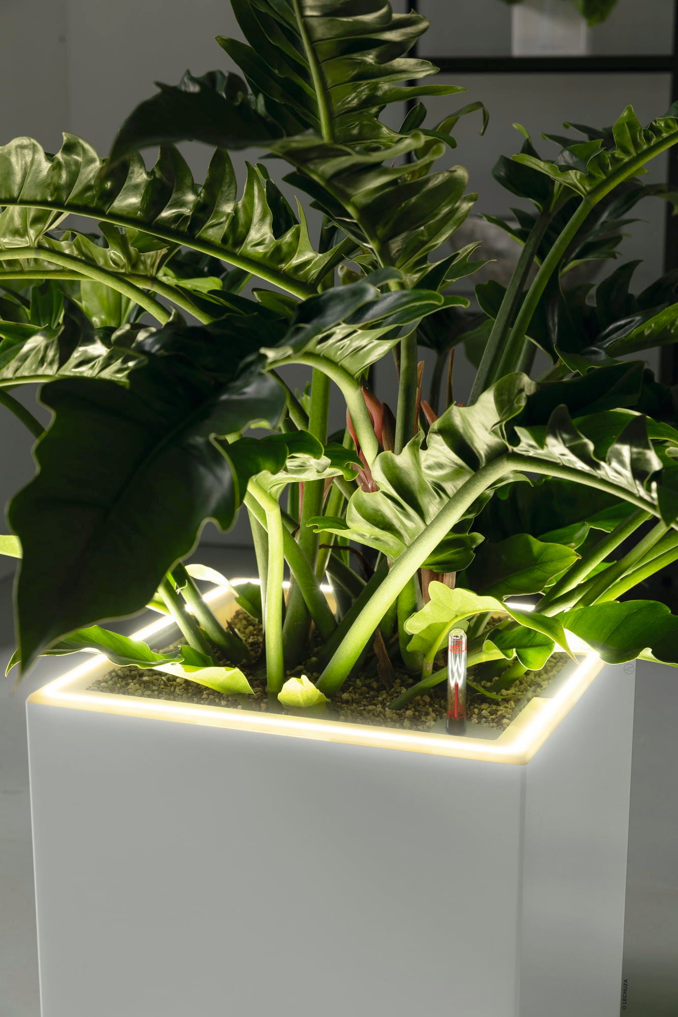 LECHUZA Pflanzgefäß CANTO Premium 40 High, LED, Silber Metallic