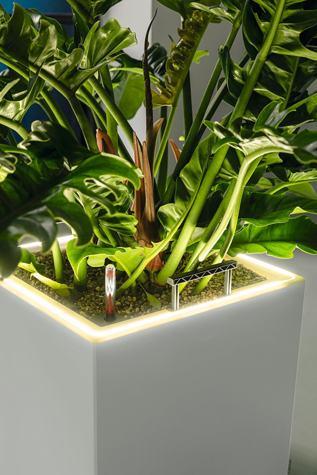 LECHUZA Pflanzgefäß CANTO Premium 40 High, LED, Silber Metallic