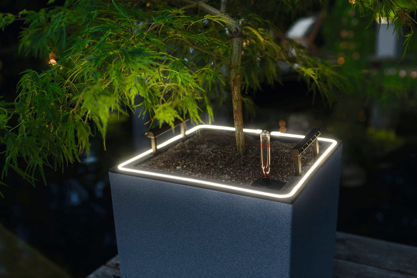 LECHUZA Pflanzgefäß CANTO Stone 30 LED Low, Steingrau