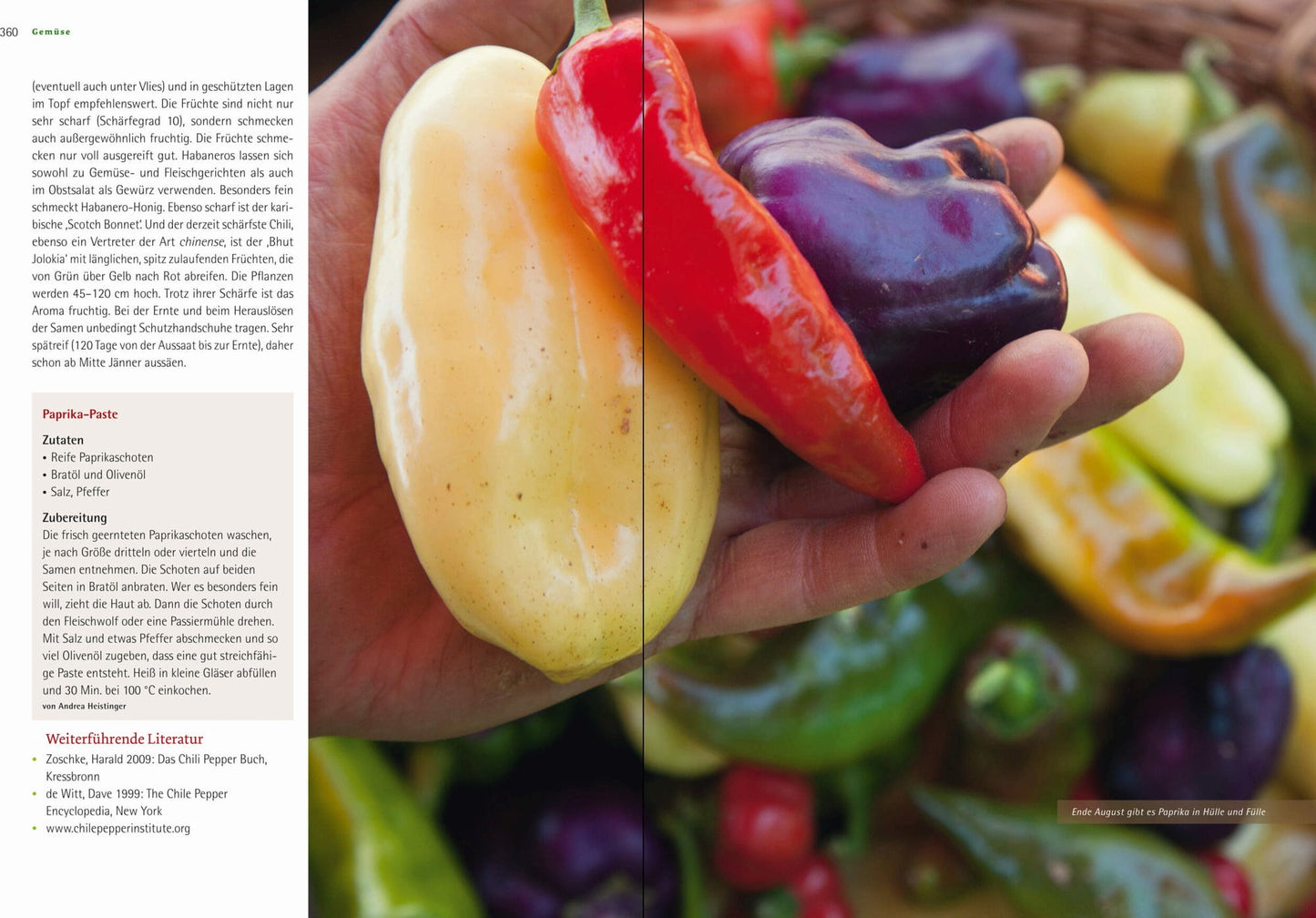  Das Große Biogarten-Buch