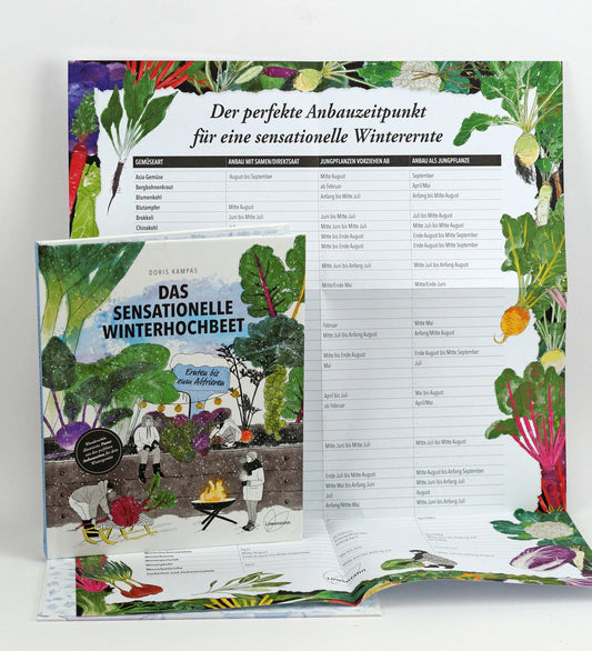 Das Sensationelle Winterhochbeet