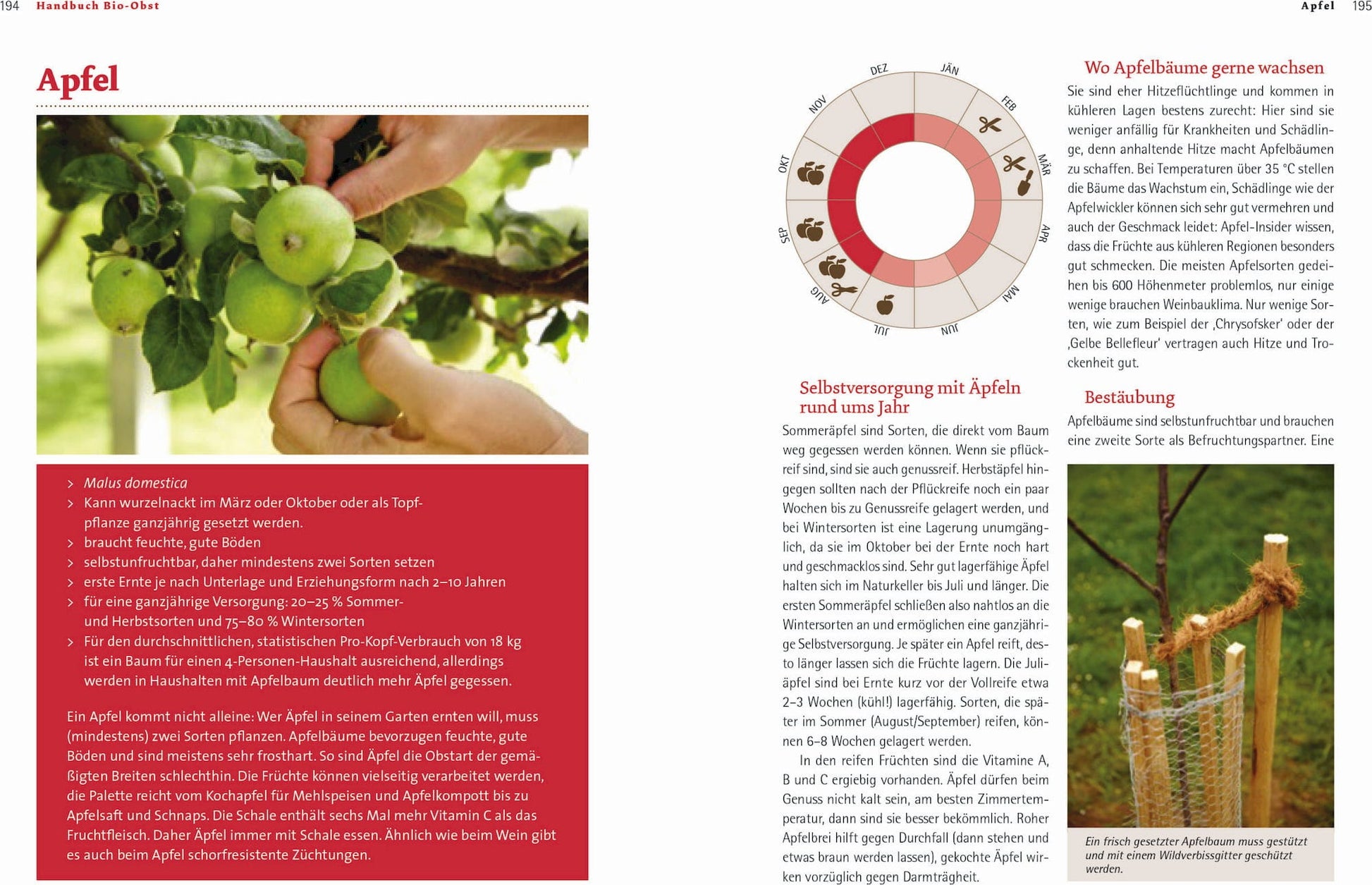  Handbuch Bio-Obst