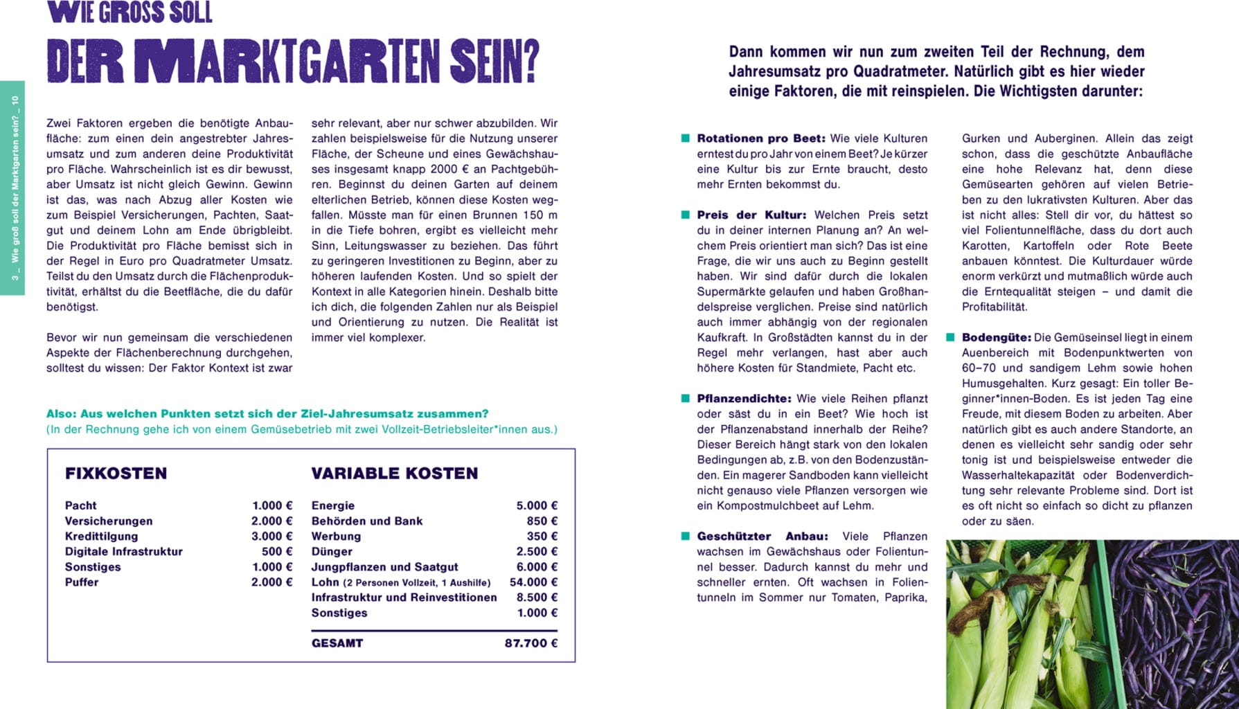 Kleine Fläche, Große Ernte