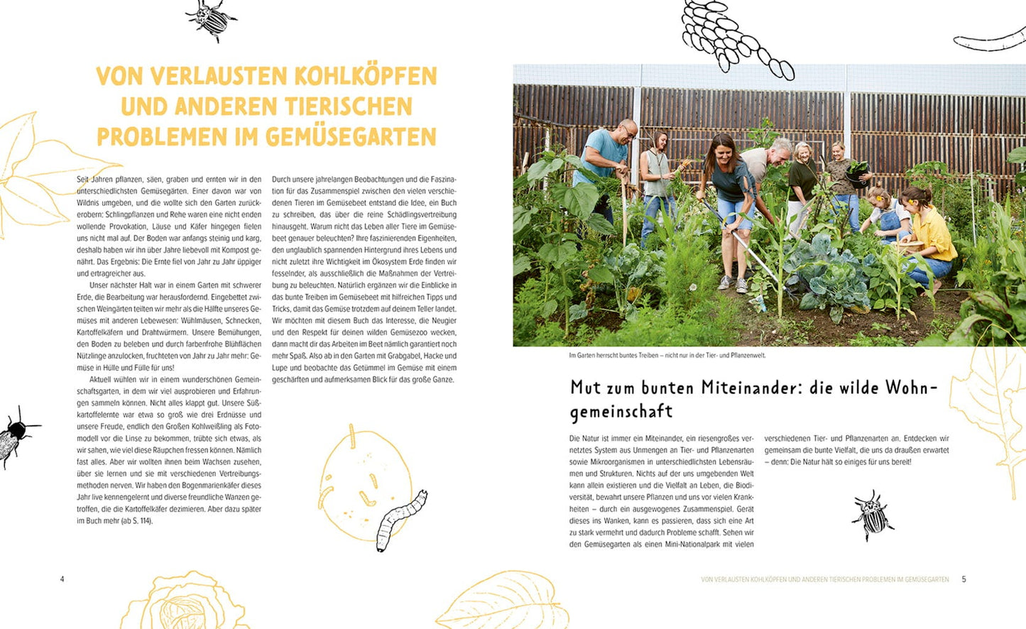  Wer Knabbert Da An Meinem Gemüse?