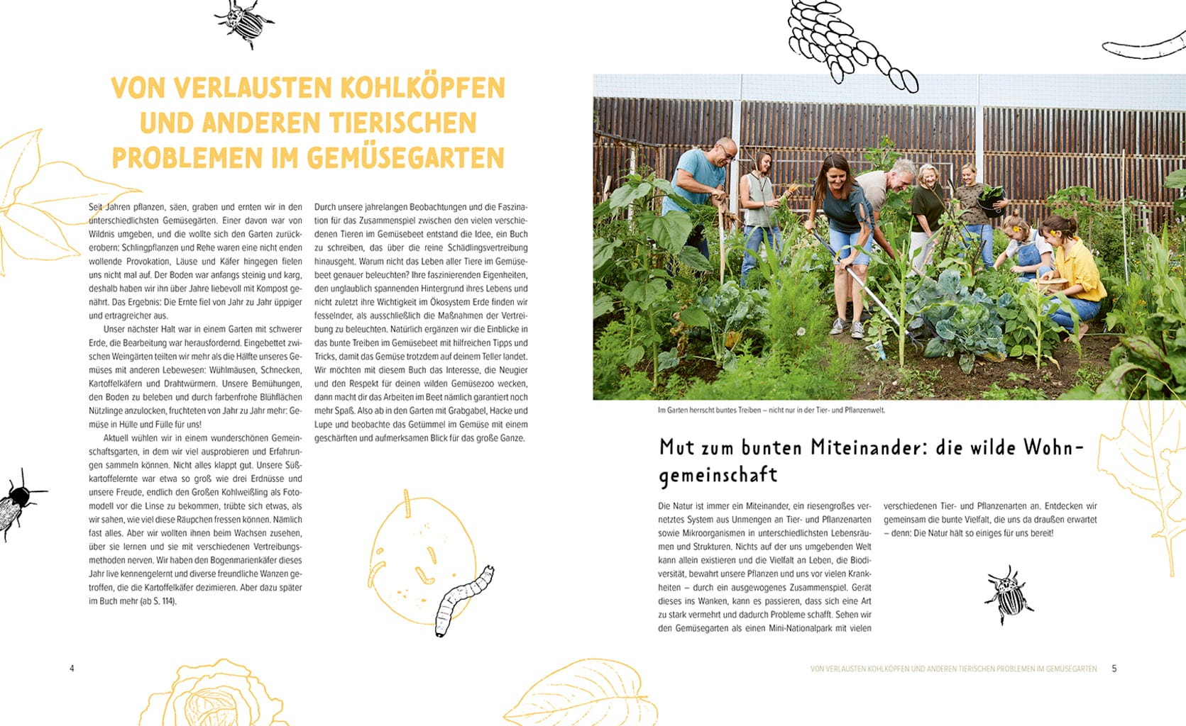  Wer Knabbert Da An Meinem Gemüse?
