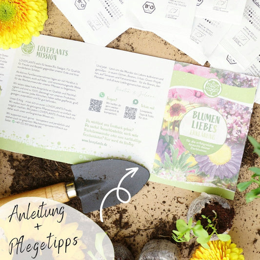  Bio Blumensamen Set