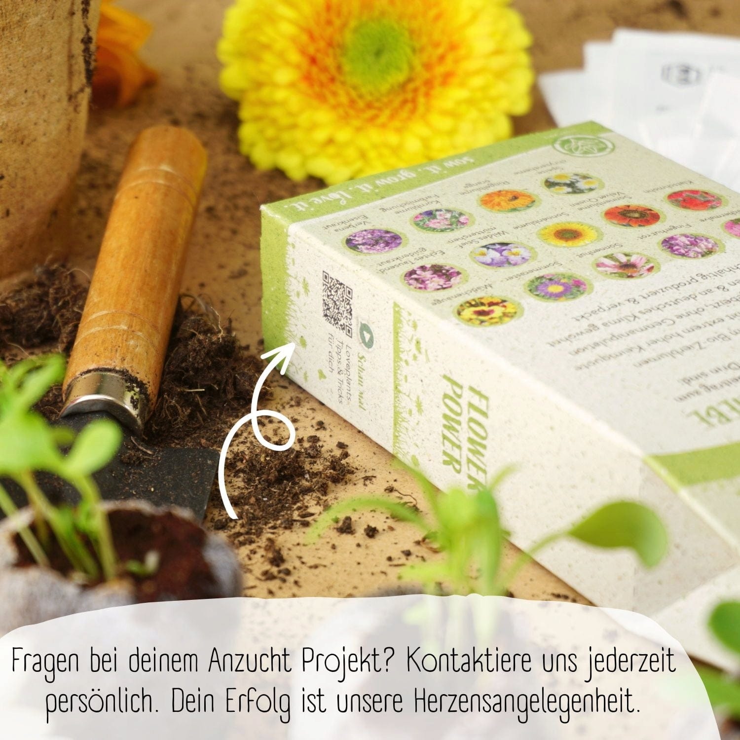  Bio Blumensamen Set