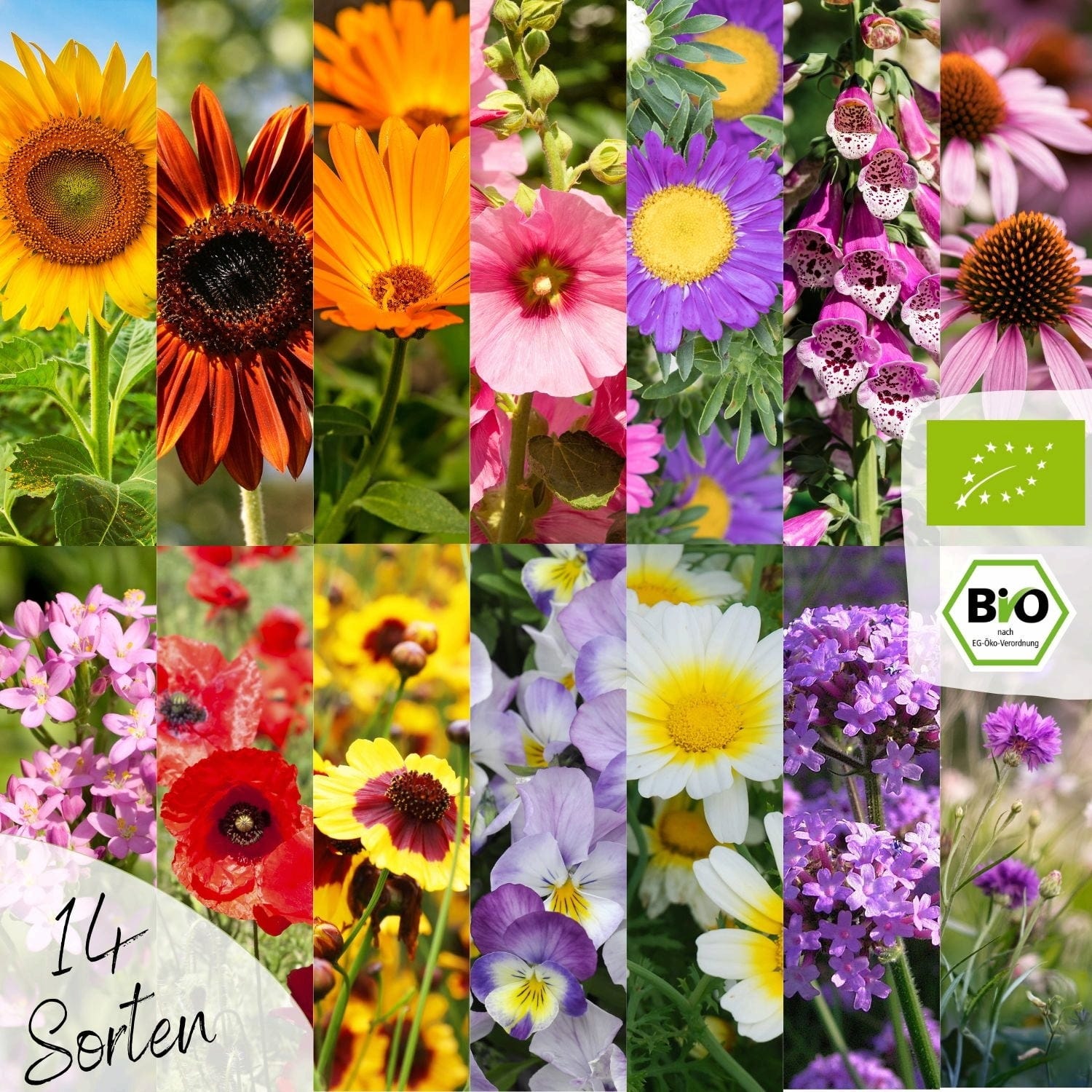  Bio Blumensamen Set