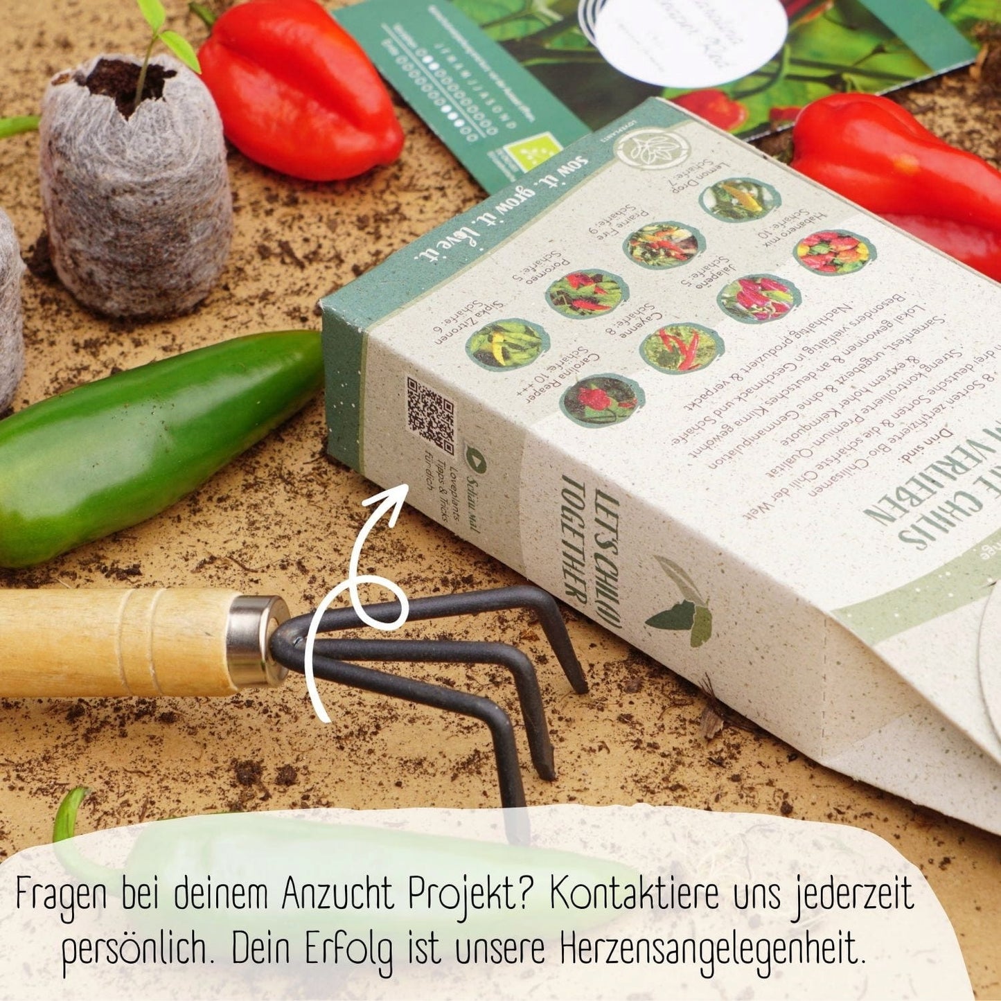  Bio Chili Samen Set
