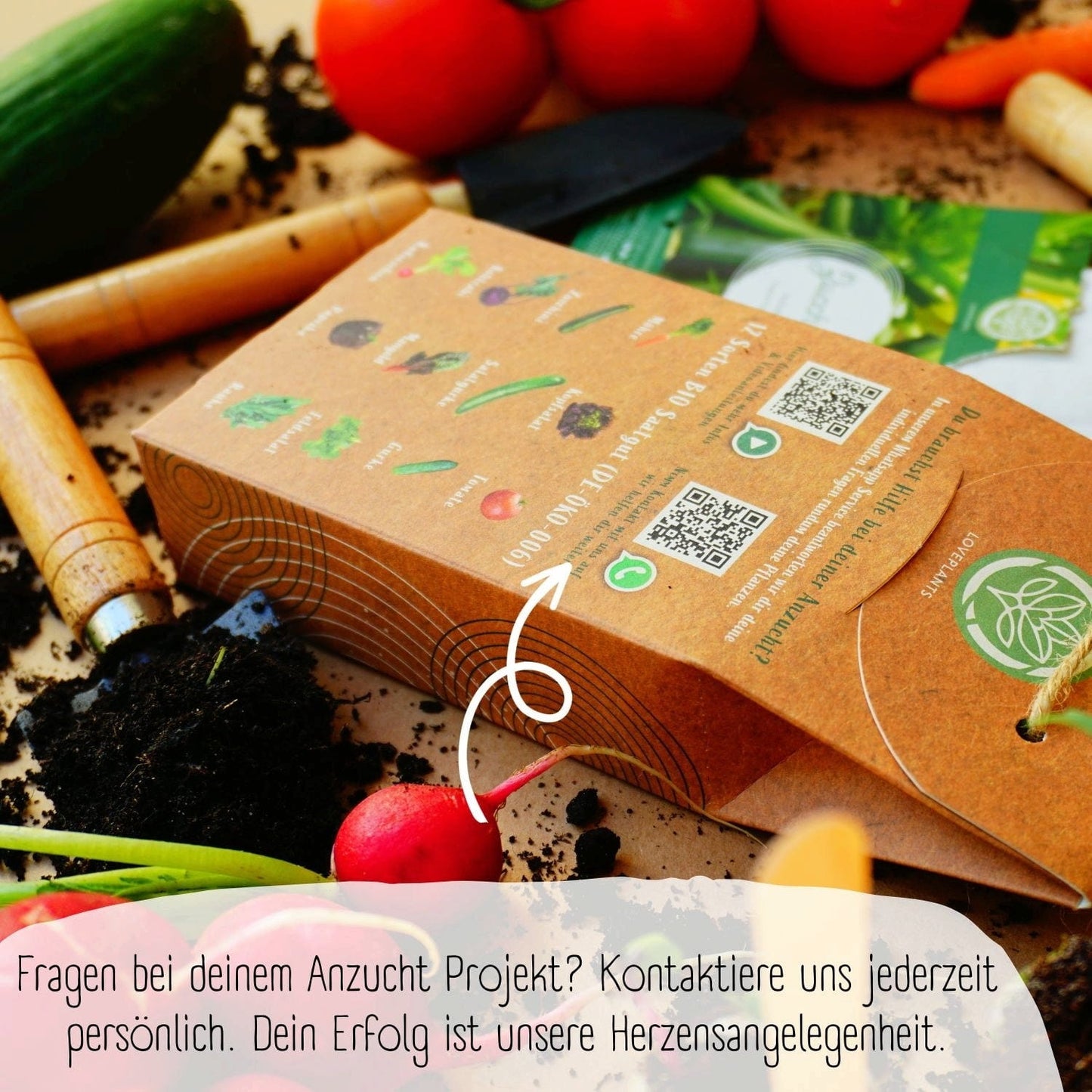  Bio Gemüsesamen Set