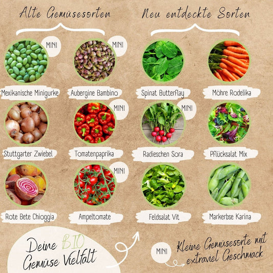  Bio Hochbeet & Balkon Gemüse Samen Set