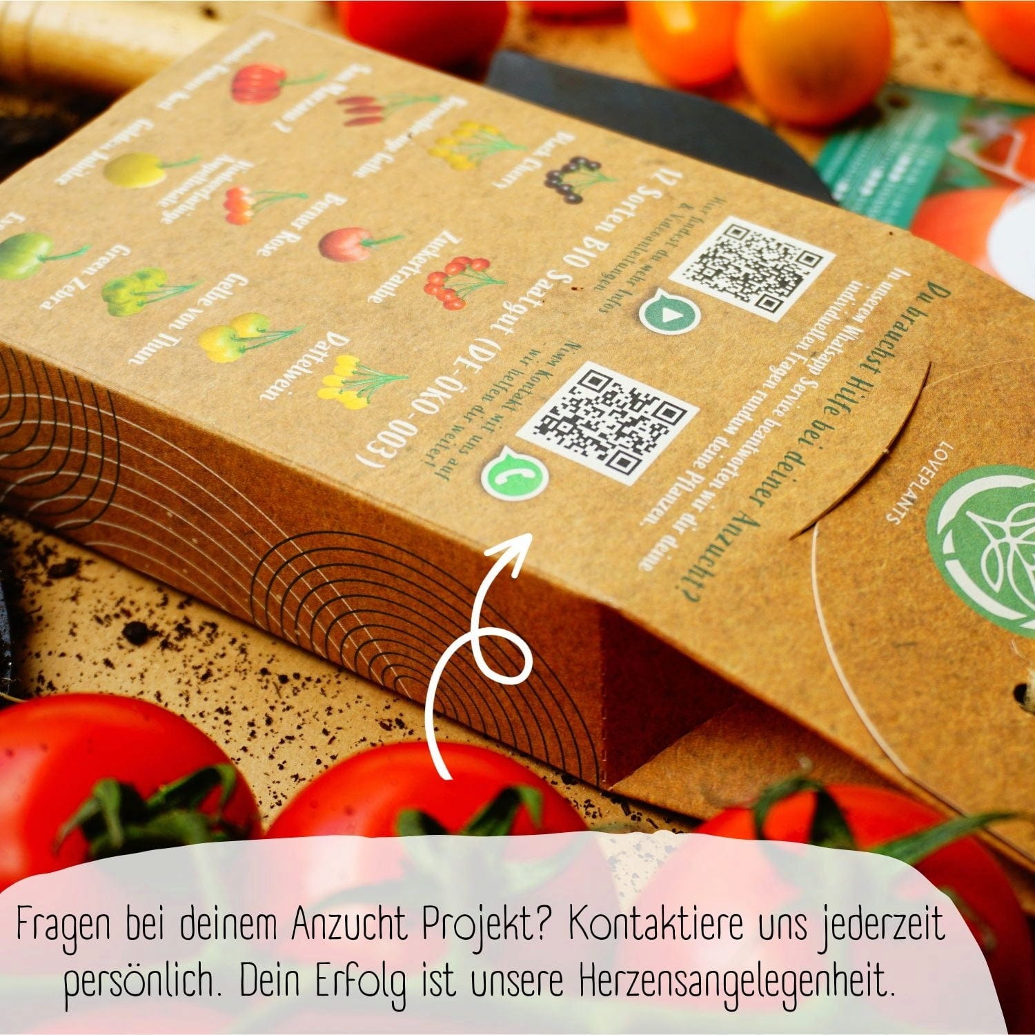  Bio Tomatensamen Set