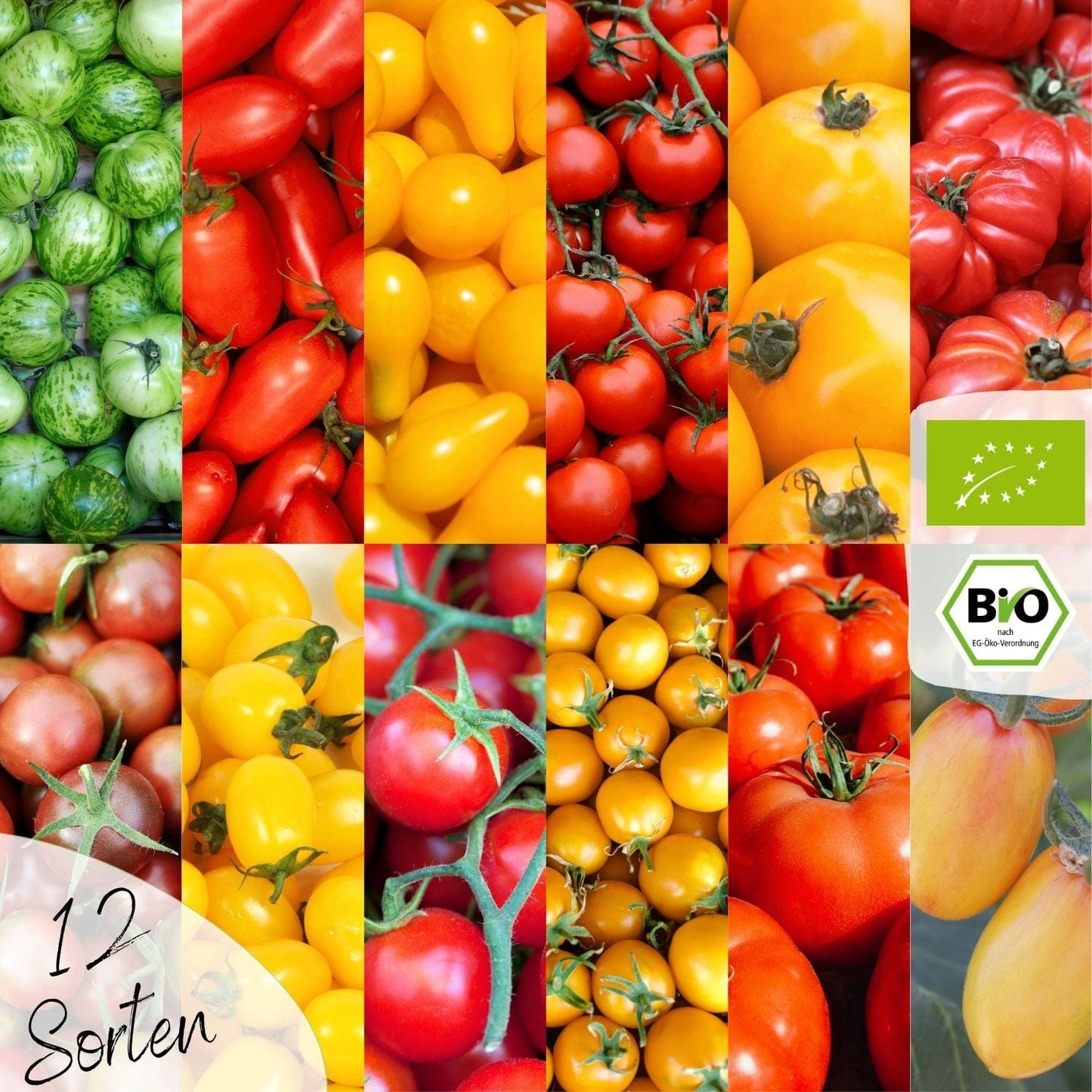  Bio Tomatensamen Set