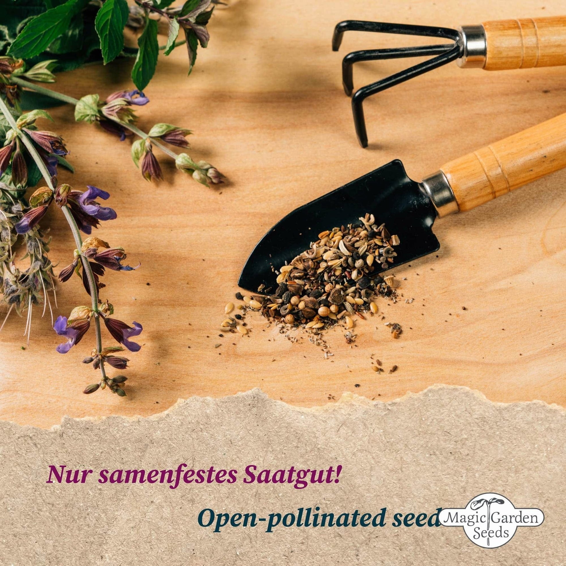  Wilde Obstbäume - Samenset