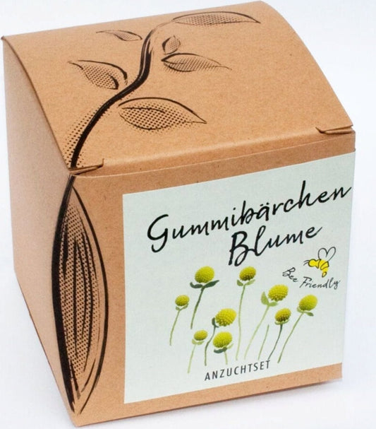  Anzuchtset "Gummibärchenblume"