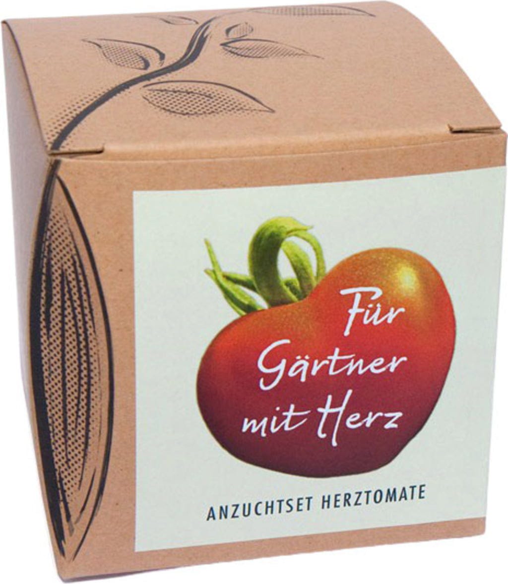  Anzuchtset "Herztomate"