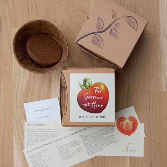  Anzuchtset "Herztomate"