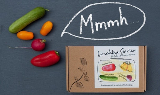  Gemüsesamen-Set "Lunchbox Garden"