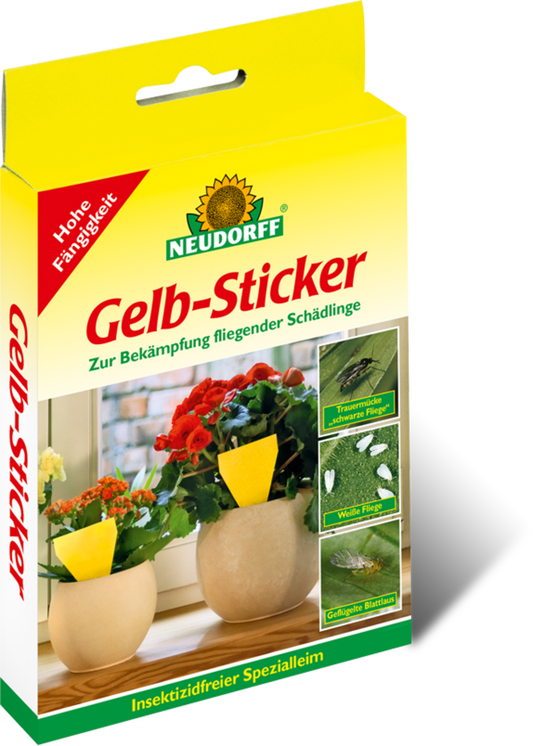  Gelbsticker, 10 Stück