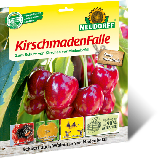  Kirschmadenfalle, 7 Stück