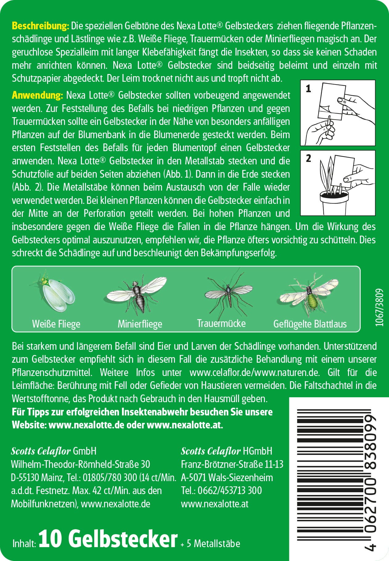  Gelbstecker, 10 Stück