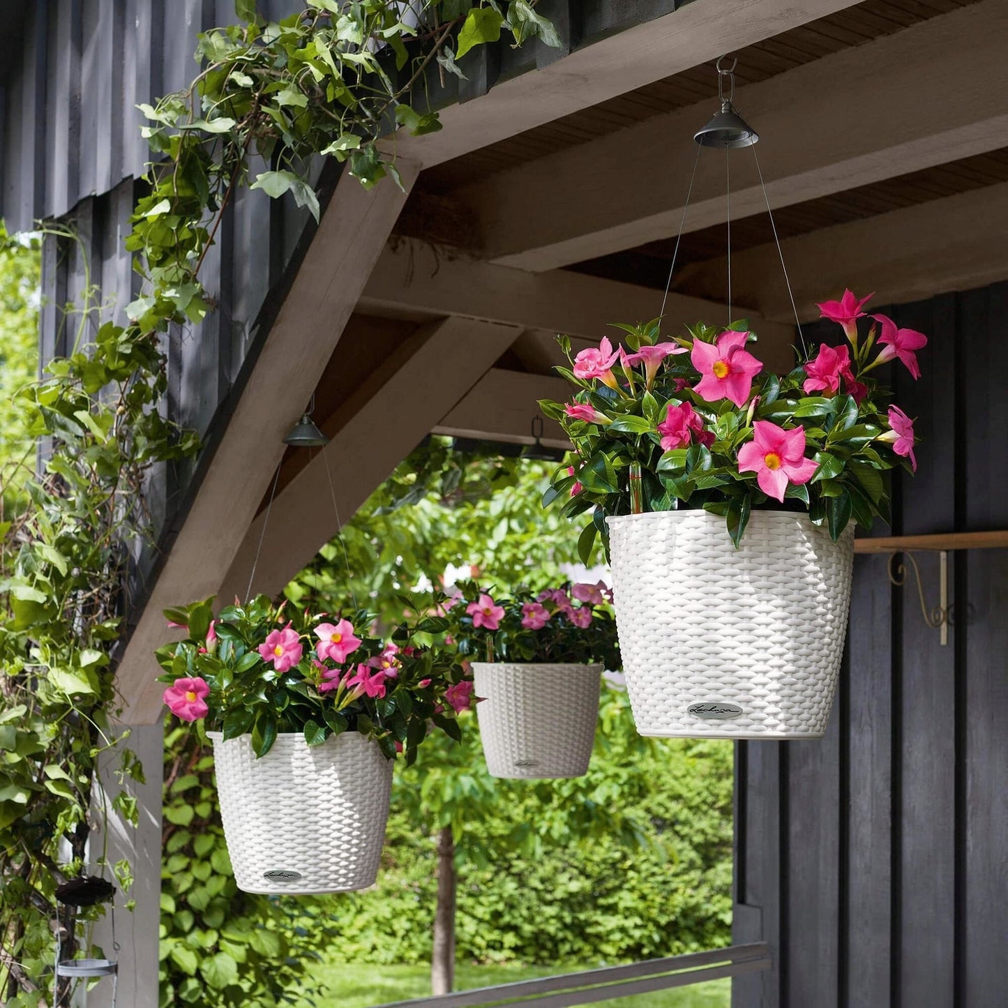 LECHUZA Blumenampel NIDO Cottage 28, Granit