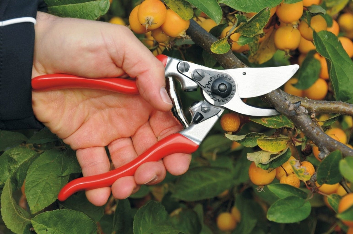 Obstbau & Gartenschere Felco 9 Für Linkshänder
