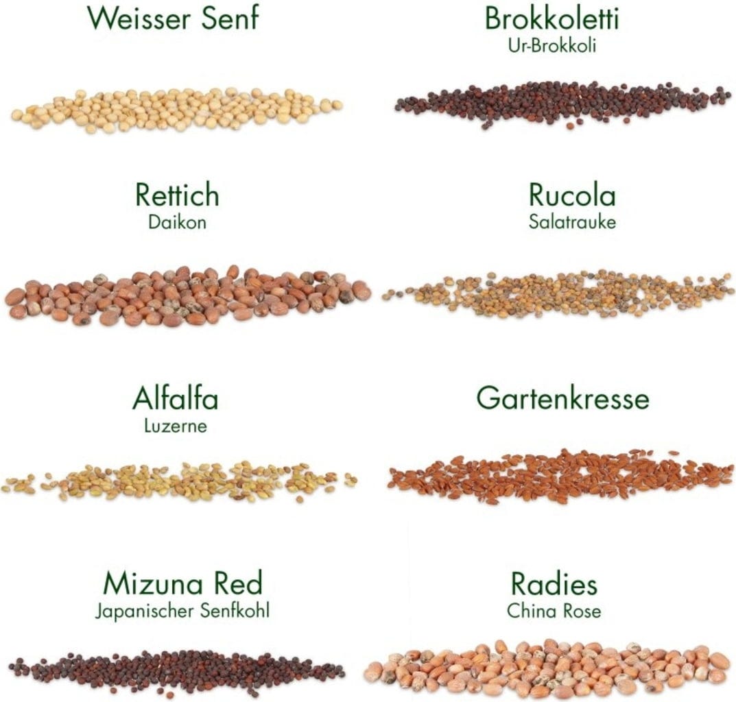  Bio Microgreens 8er Set