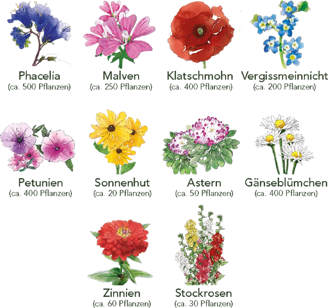  Blumen Beet 10er Set