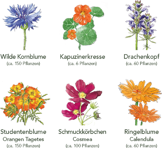  Delikatess-Blüten 6er Saatgut-Set