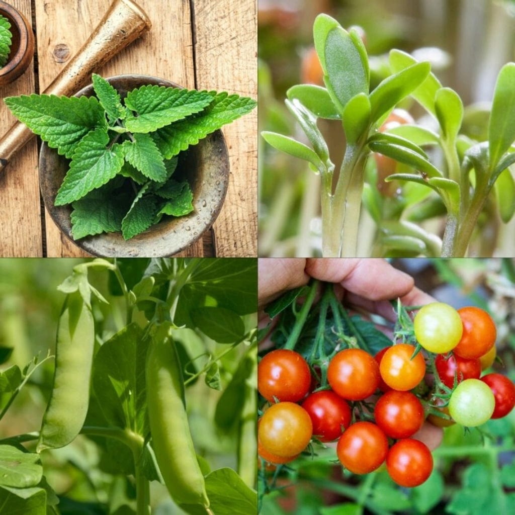  Garten-Helden 10er Set