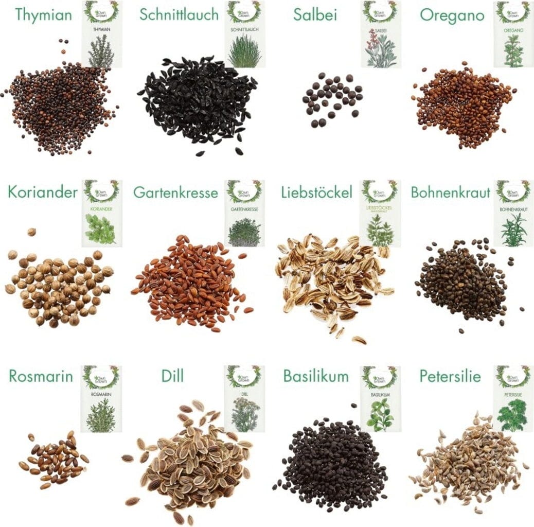  Küchen-Kräuter 12er Saatgut-Set