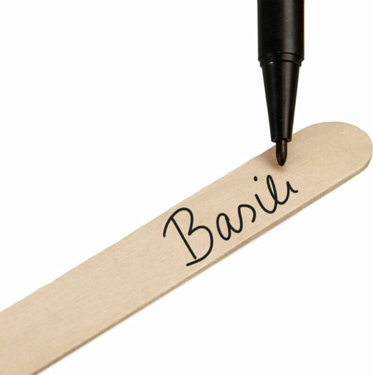 Pflanzstecker 50er Mit Stift