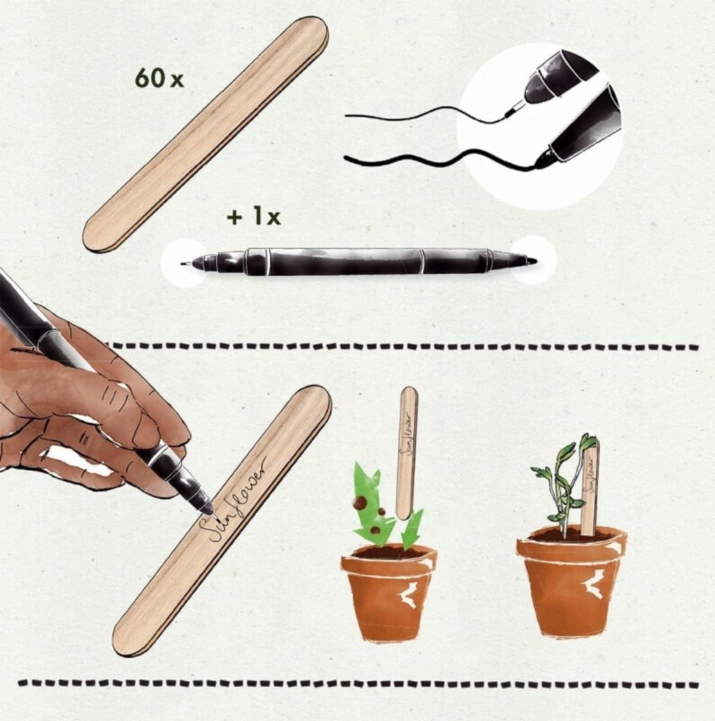  Pflanzstecker 50er Mit Stift