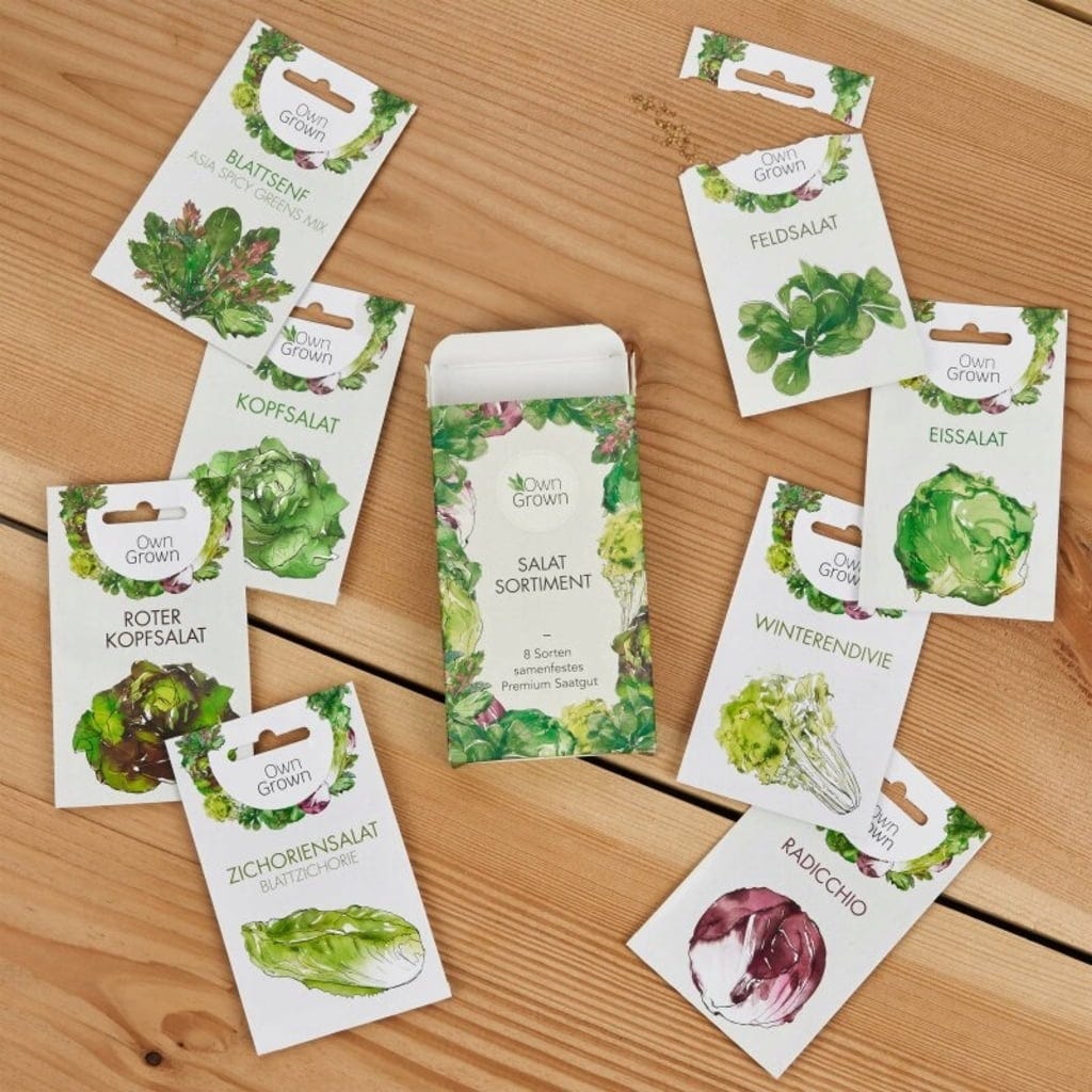  Salat-Samen-Set